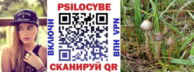 Галлюциногенные грибы Magic Shrooms  как найти   Верея 